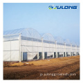 Aquaponics Farms Agricultural Lettuce Greenhouses